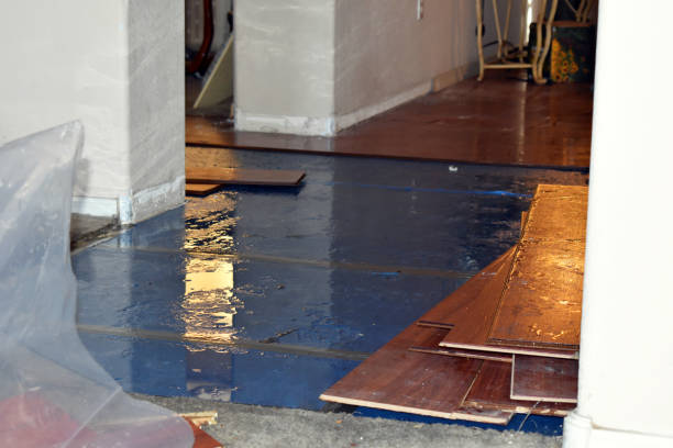 Professional Burst Pipe Cleanup technician working in East Providence, RI
